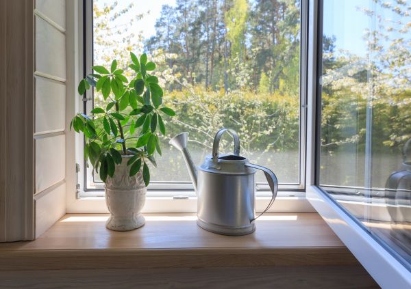Garden Window Repair in Alexandria